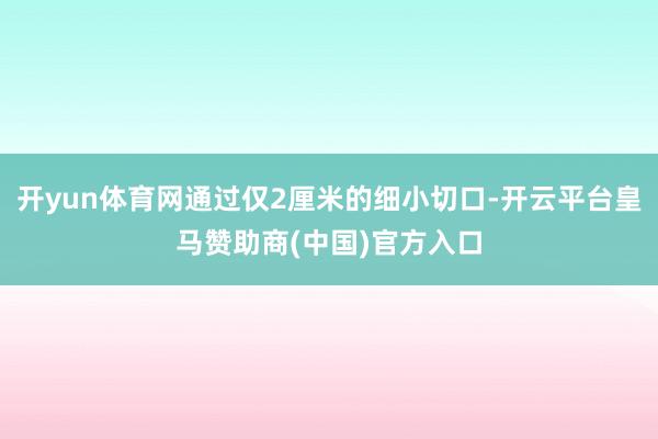开yun体育网通过仅2厘米的细小切口-开云平台皇马赞助商(中国)官方入口