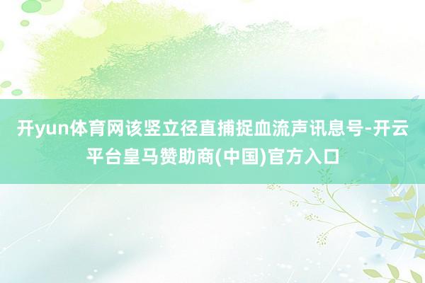 开yun体育网该竖立径直捕捉血流声讯息号-开云平台皇马赞助商(中国)官方入口